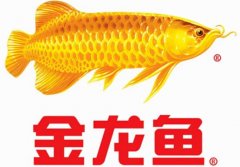 金龍魚到底是不是中國企業？為什么會入選國家品牌？